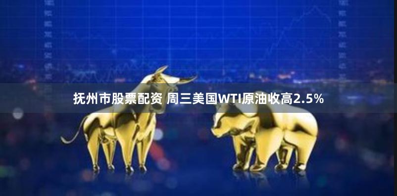 抚州市股票配资 周三美国WTI原油收高2.5%