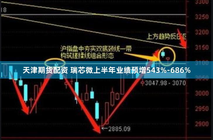 天津期货配资 瑞芯微上半年业绩预增543%-686%