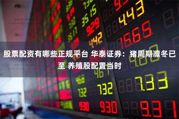 股票配资有哪些正规平台 华泰证券：猪周期凛冬已至 养殖股配置当时