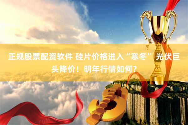 正规股票配资软件 硅片价格进入“寒冬” 光伏巨头降价！明年行情如何？